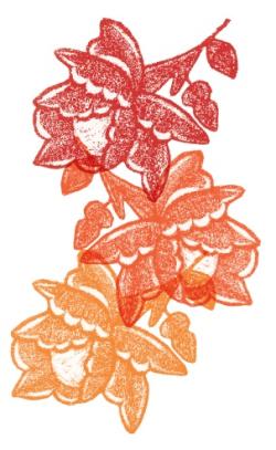 Fundraising Page Image