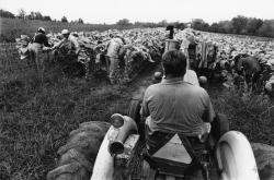 Fundraising Page Image