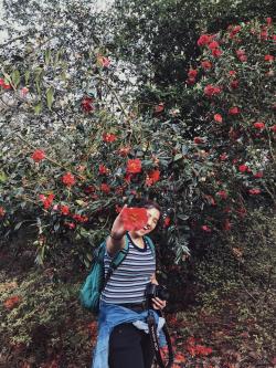 Fundraising Page Image