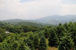 Fundraising Page Image